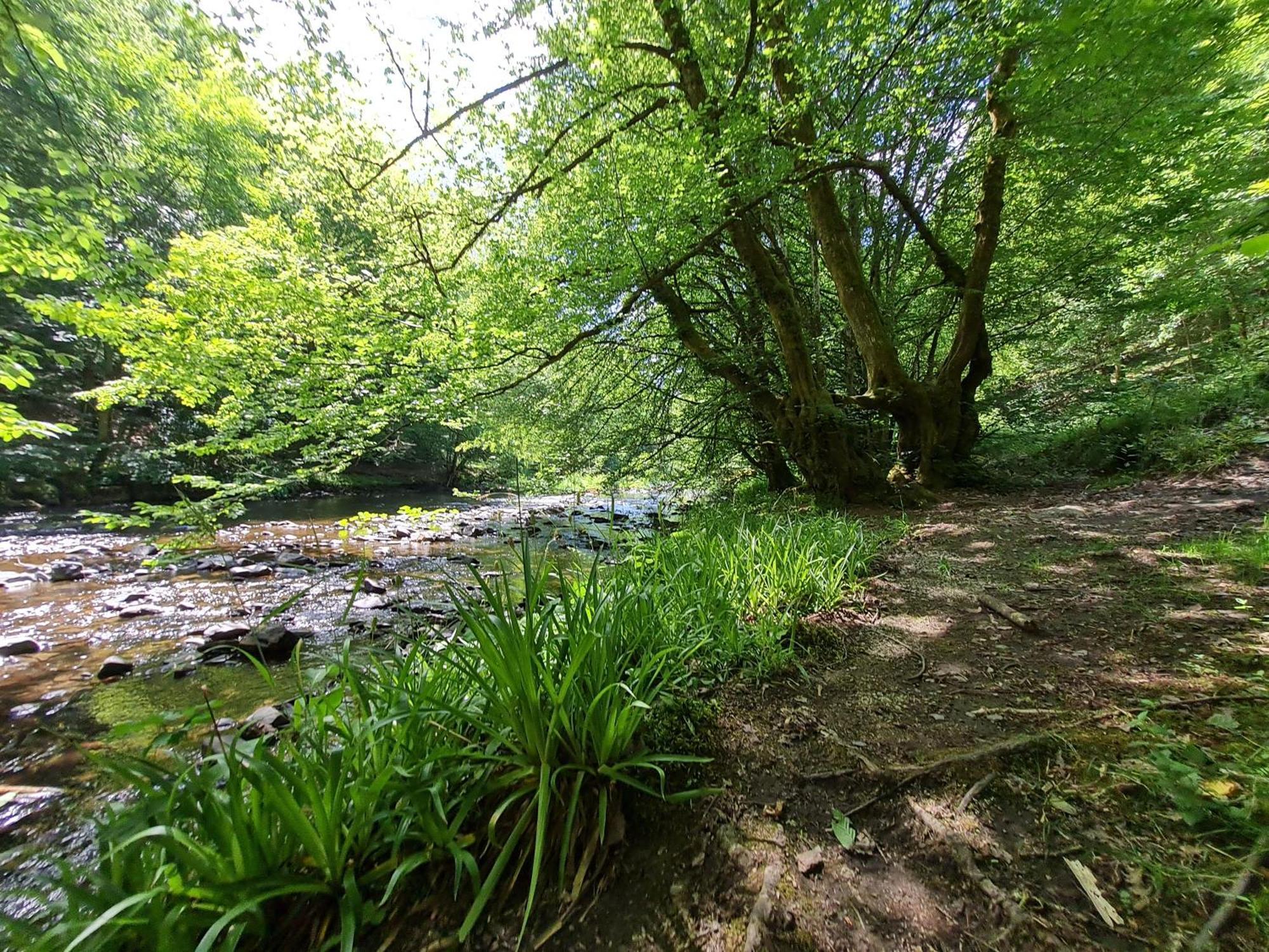 Ferienhaus Droefter Blick Monschau Zewnętrze zdjęcie