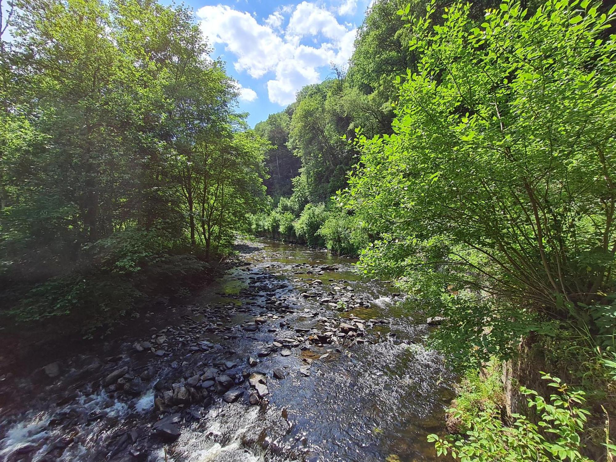 Ferienhaus Droefter Blick Monschau Zewnętrze zdjęcie