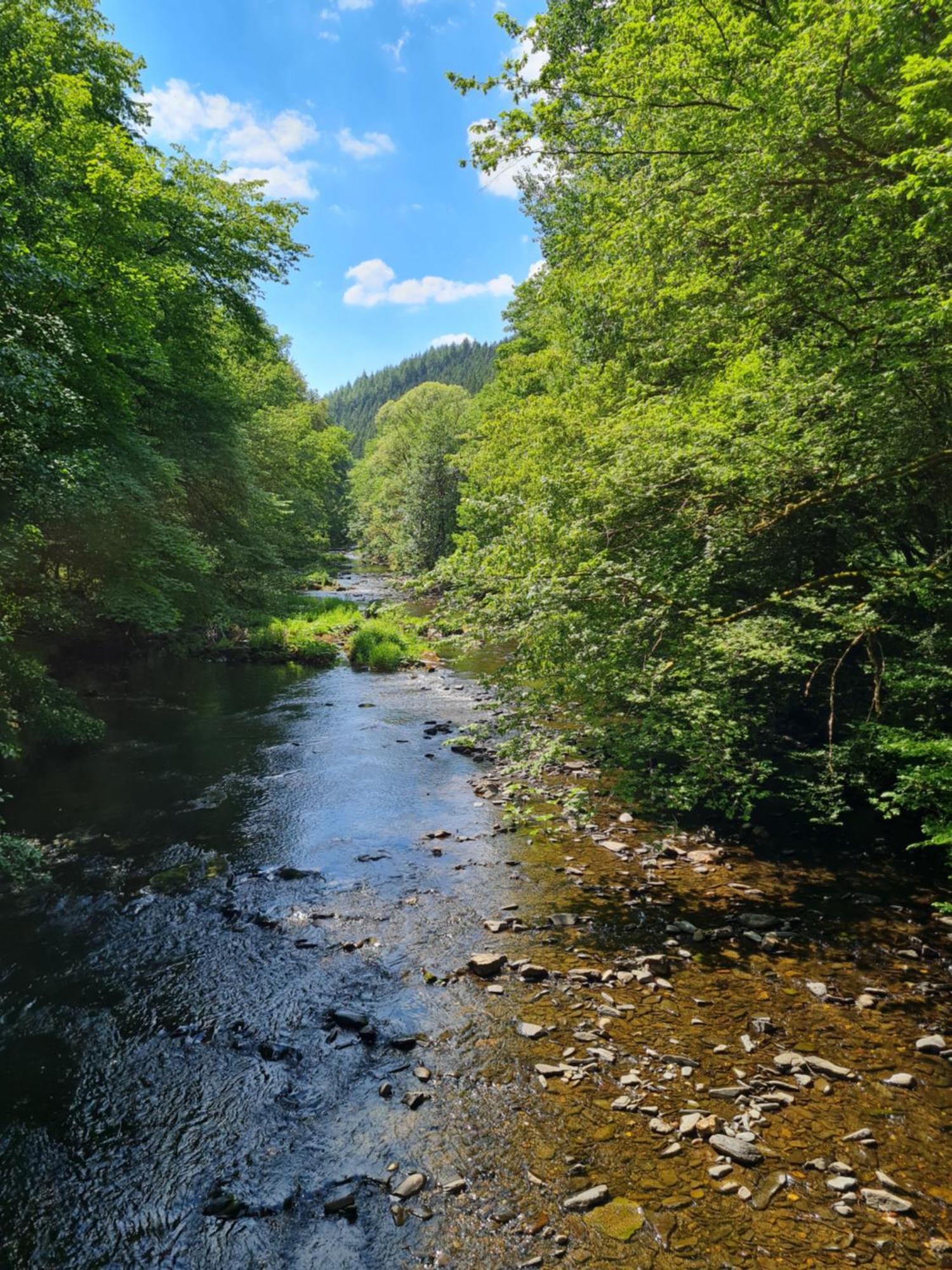 Ferienhaus Droefter Blick Monschau Zewnętrze zdjęcie