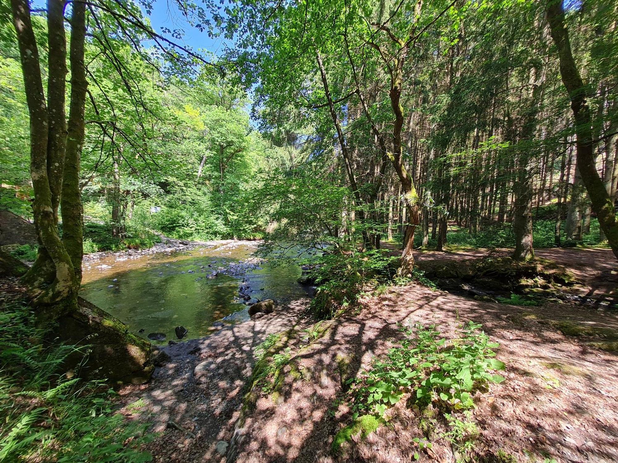 Ferienhaus Droefter Blick Monschau Zewnętrze zdjęcie